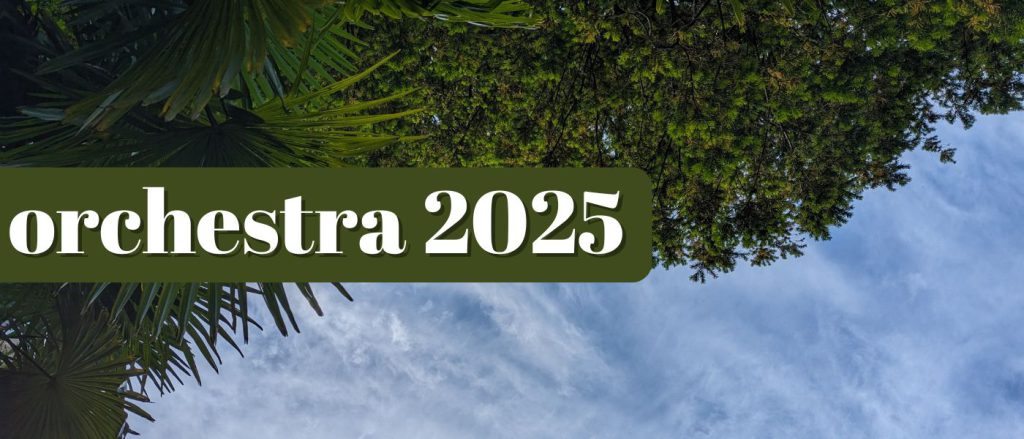 Corso d'Orchestra 2025